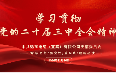 守正創(chuàng)新 踔厲奮發(fā)｜遠東電纜（宜賓）開展學(xué)習(xí)貫徹黨的二十屆三中全會精神主題黨日活動
