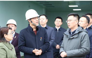 宜賓市委常委領導調研遠東股份宜賓智能產業(yè)園